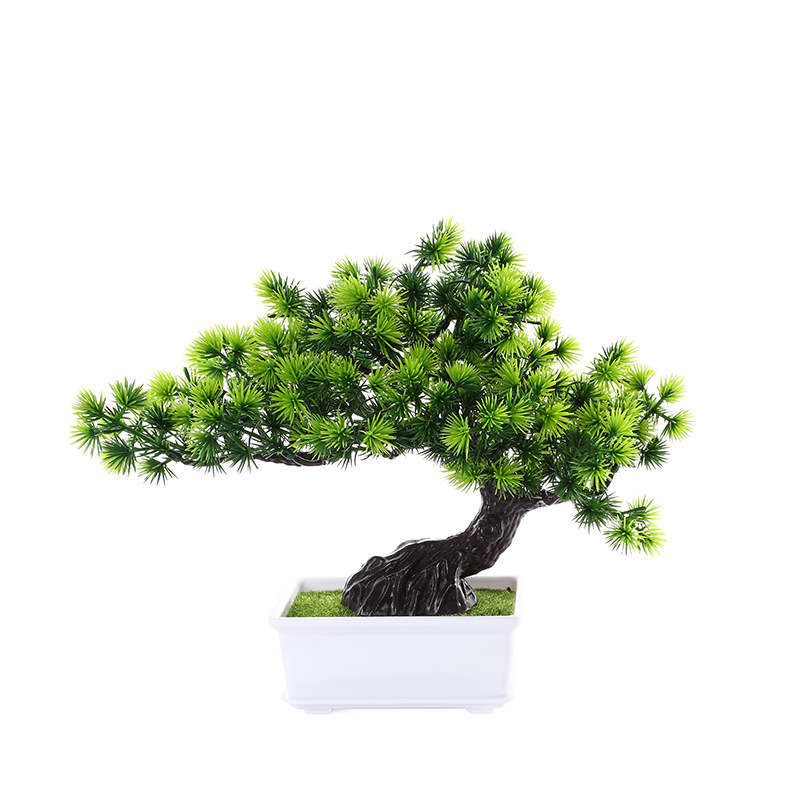 Bonsai