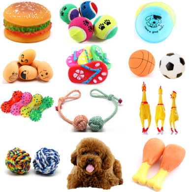 Pet Toys