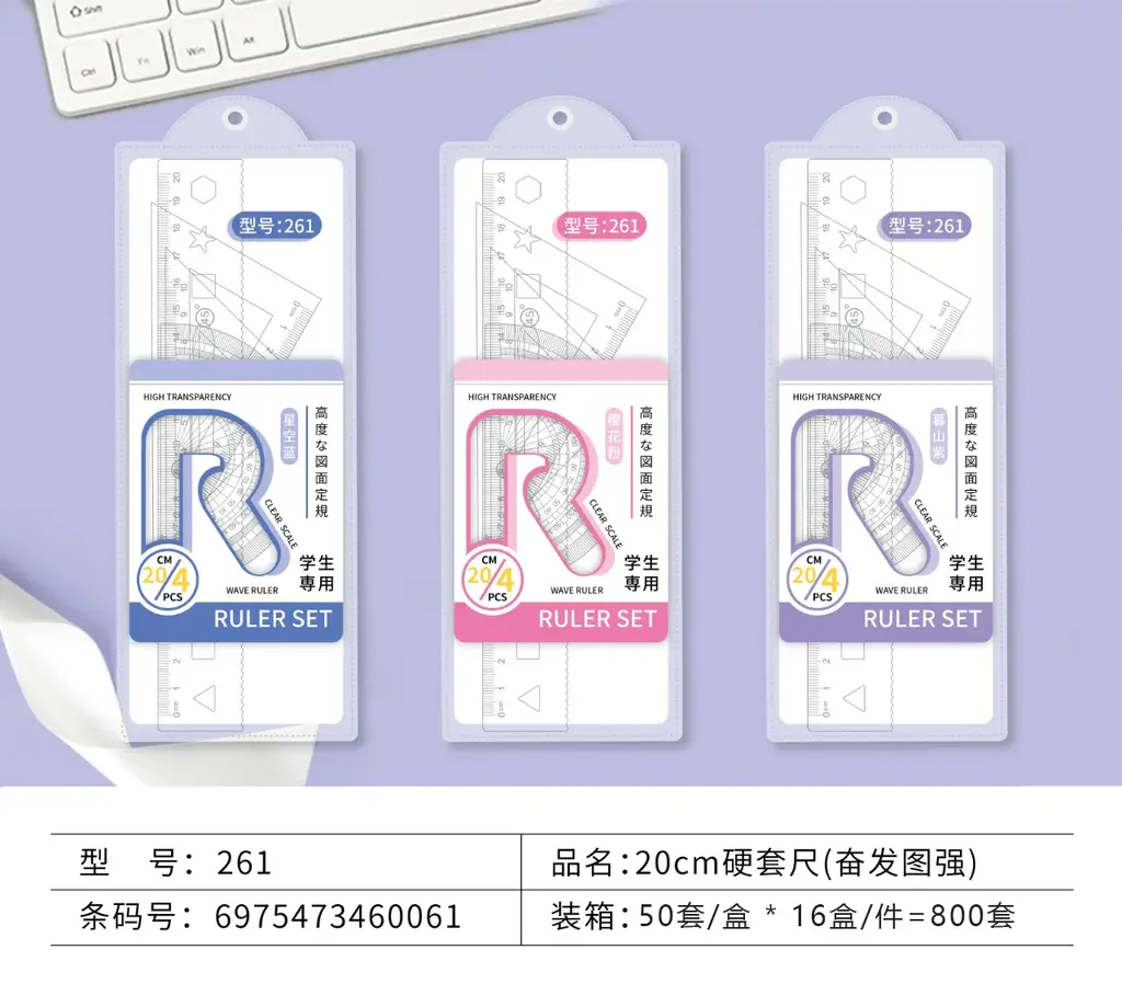 261 Hard Ruler 20CM Striving for Success