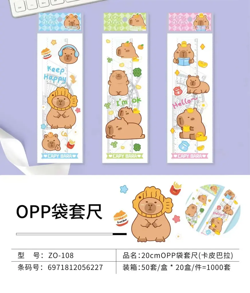 ZO-108 Hard Ruler Set 20CM - OPP Bag for Capibara