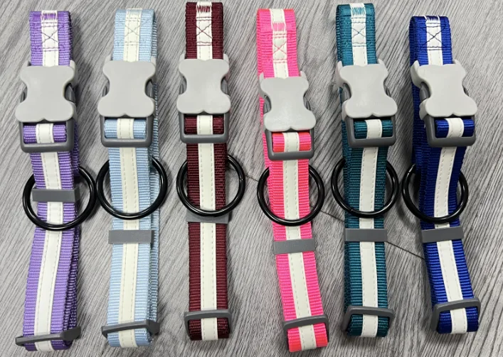 Glow-in-the-Dark Collar