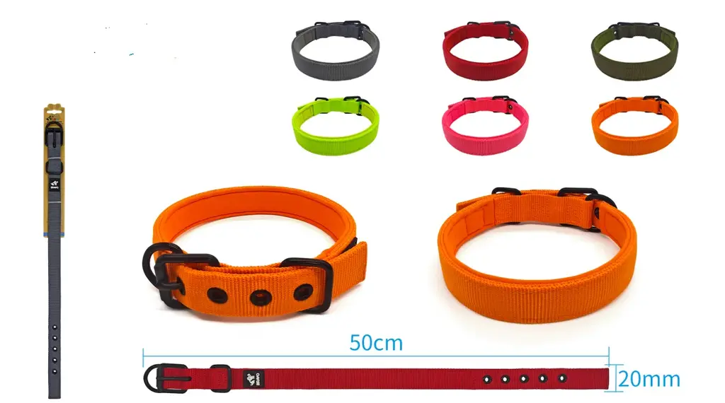Buckle-Style Neoprene Collar - S