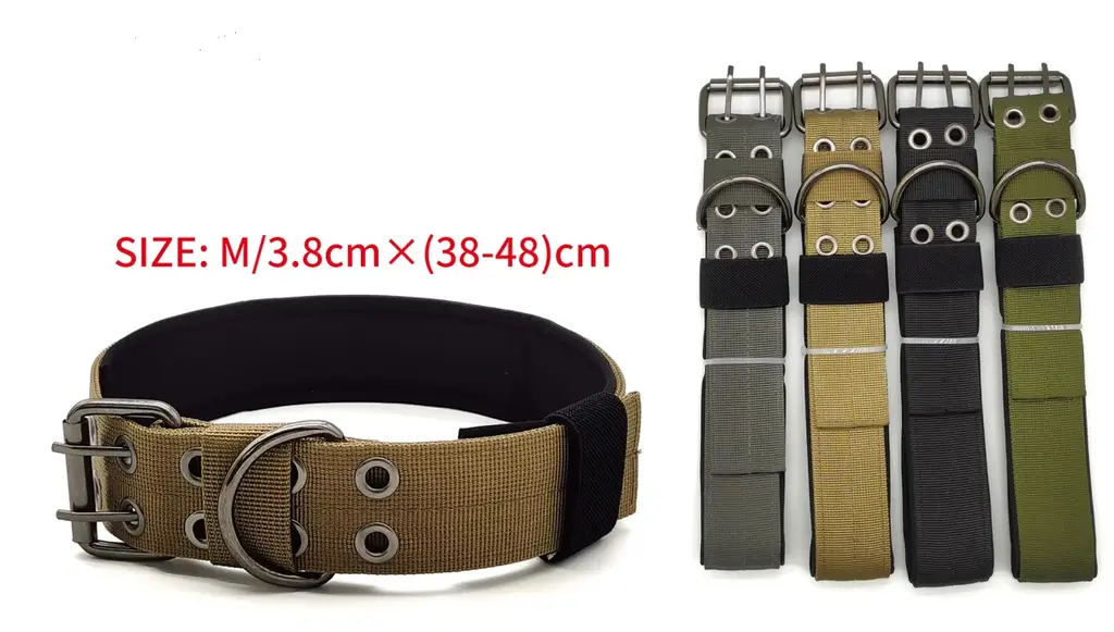 Large Dog Neoprene Collar - M
