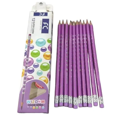 LC7019 triangular pearl paint HB box of pencils 12 pieces