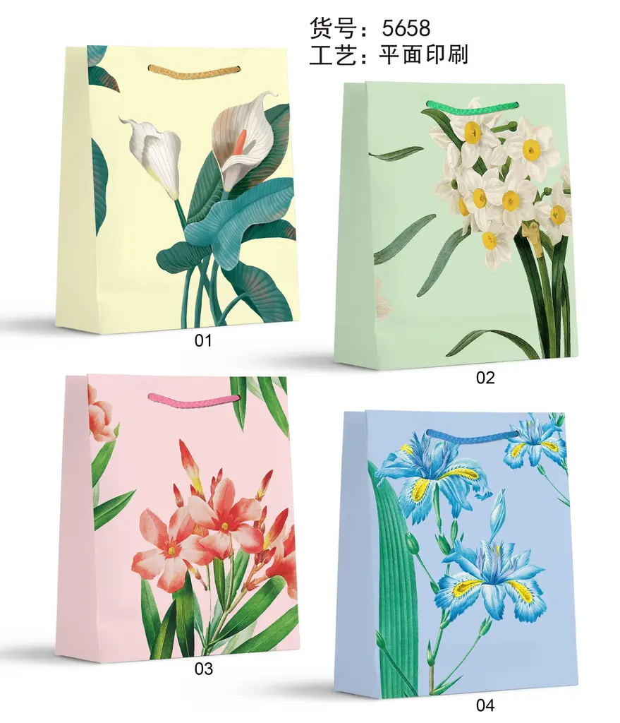 Printed Gift Bag - Small | 18*24*8.5cm | 5658