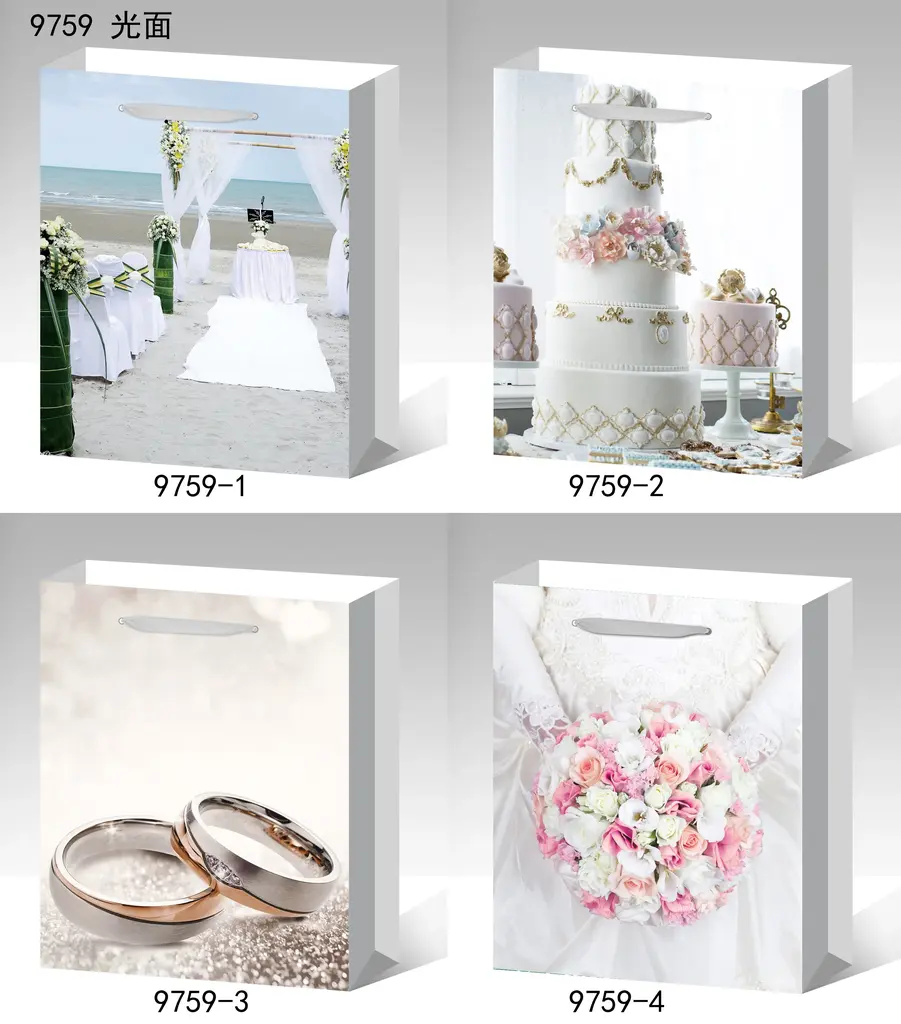 Printed Gift Bag - Small | 18*24*8.5cm | 9759