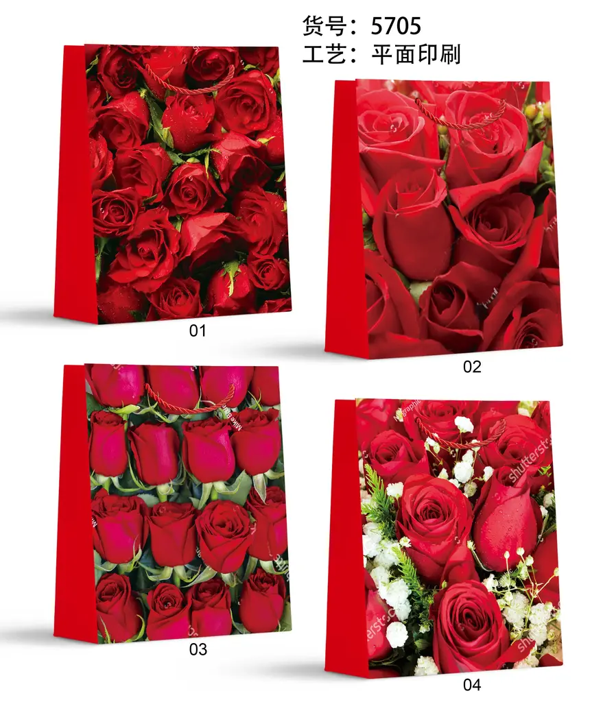 Printed Gift Bag - Medium | 26*32*10cm - Design 57