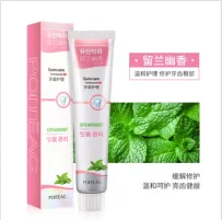 Piaoting Liulan Youxiang Fresh Toothpaste (Gum Care) 100g “Special Offer“