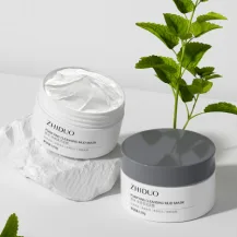 Zidor Cleansing Mud Mask 120g