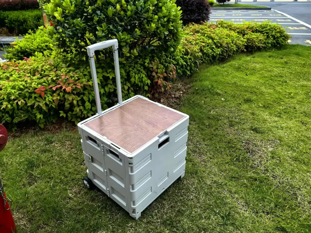 Outdoor Folding Cart - X-013