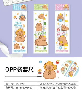 ZO-108 Hard Ruler Set 20CM - OPP Bag for Capibara