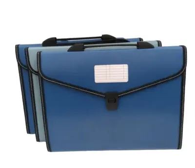 XF-014 Vertical Pattern Accordian Bag A4