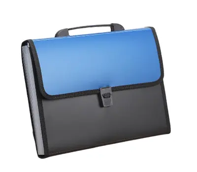 8818 Multi-color - Edge Accordian Bag A4