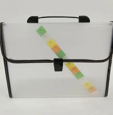 XF-032 Transparent Diagonal Pattern A4 Accordian Bag A4