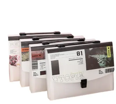 10668 Nature Atmosphere - Printed Accordian Bag A4