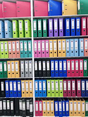 501 Quick Lock Clips