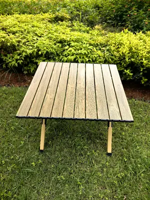 Folding Chair - W-071