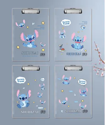 811 Stiddzi - A4 Acrylic Card