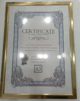 A3 Picture Frame - Gold