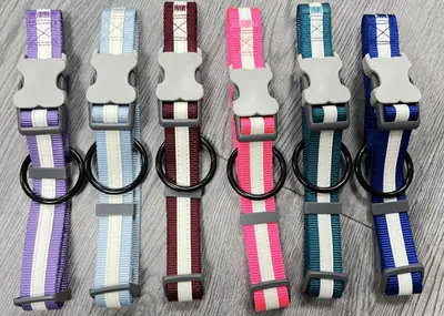 Glow-in-the-Dark Collar