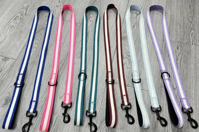 Glow-in-the-Dark Leash