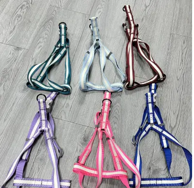 Glow-in-the-DarkTriangleHarness