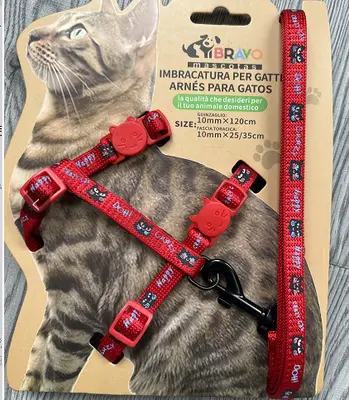Cat Head Harness Set
