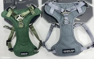 Bone-Shaped Harness - S