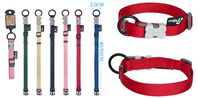 Solid Color Collar - S