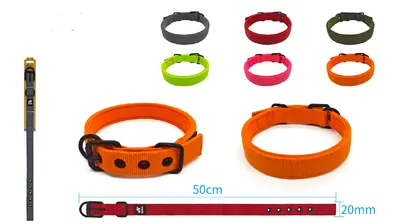 Buckle-Style Neoprene Collar - M