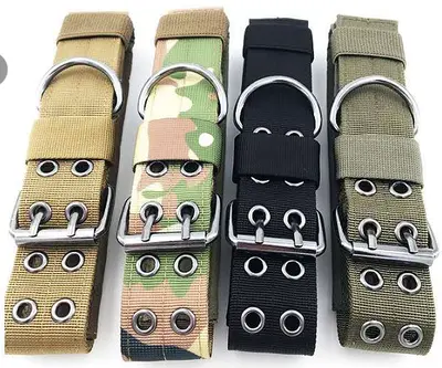 Large Dog Collar - L