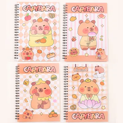 SH-A403-1 Coil Set A4 100 sheets