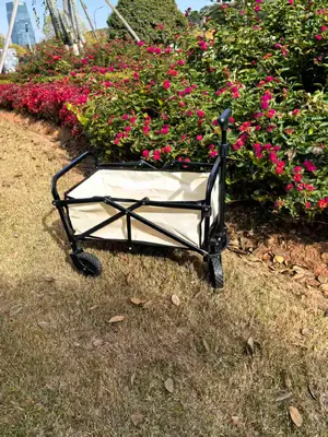 4" Single-Layer Camping Wagon - L-010