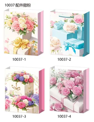 Printed Gift Bag - Small | 18*24*8.5cm | 10037