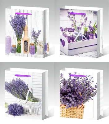 Printed Gift Bag - Extra Small | 12*14*6cm | 9673