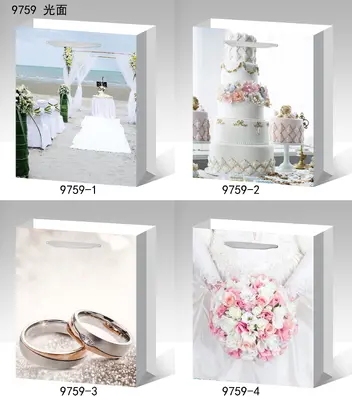 Printed Gift Bag - Small | 18*24*8.5cm | 9759