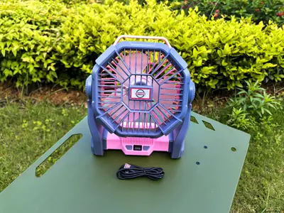 Multi-Function Outdoor Fan - D-009