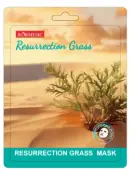 KORMESIC Resurrection Grass Anti-Allergy Mask (for foreign trade) 25ml