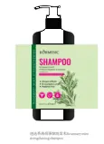 KORMESIC Rosemary & Mint Shampoo (FT) 480ml