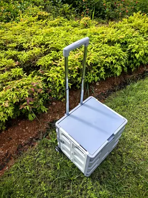 small购物车X-037 - X-037