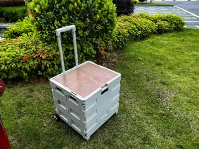 Outdoor Folding Cart - X-013